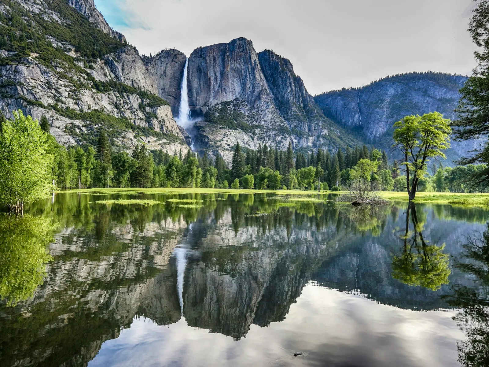 Yosemite Falls refletida num lago raso da campina do vale, entre árvores verdes