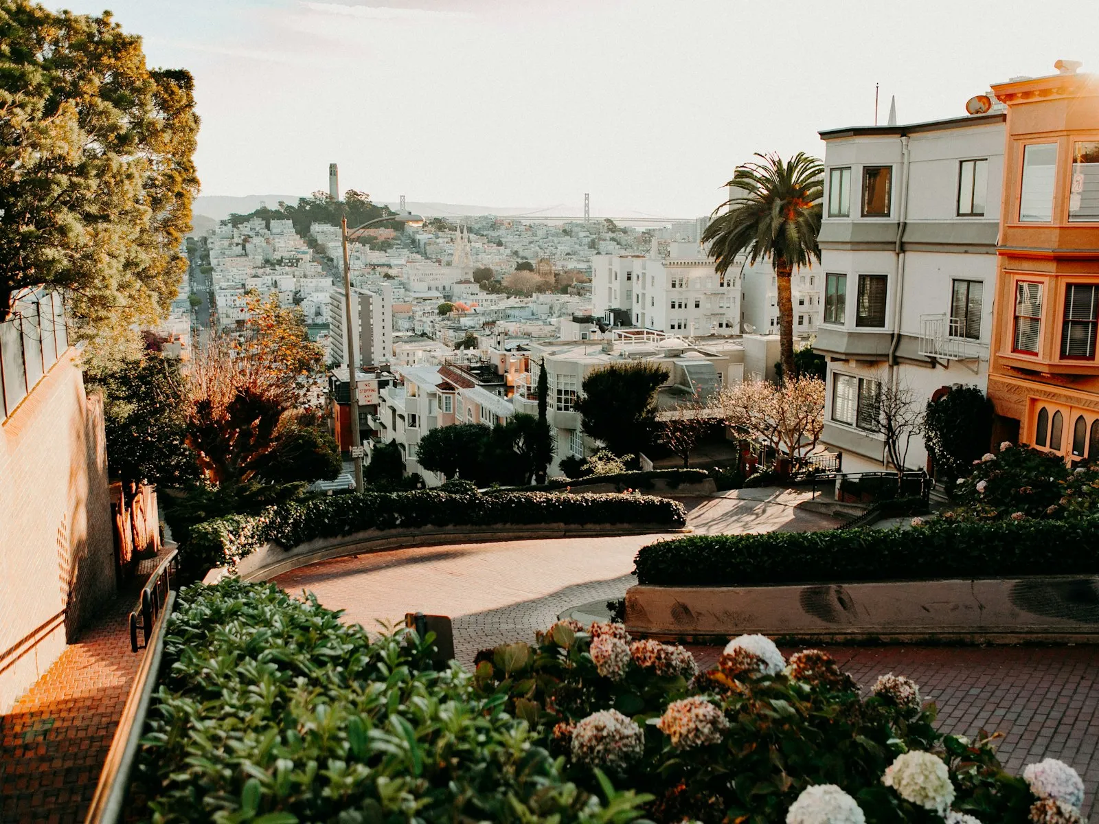 Curvas de tijolo da Lombard Street entre canteiros floridos, com a Coit Tower e a cidade ao fundo, à luz do fim de tarde